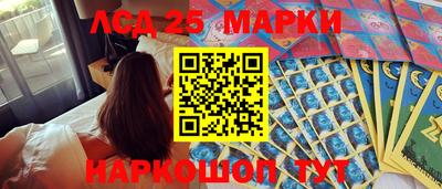 spice Абакан