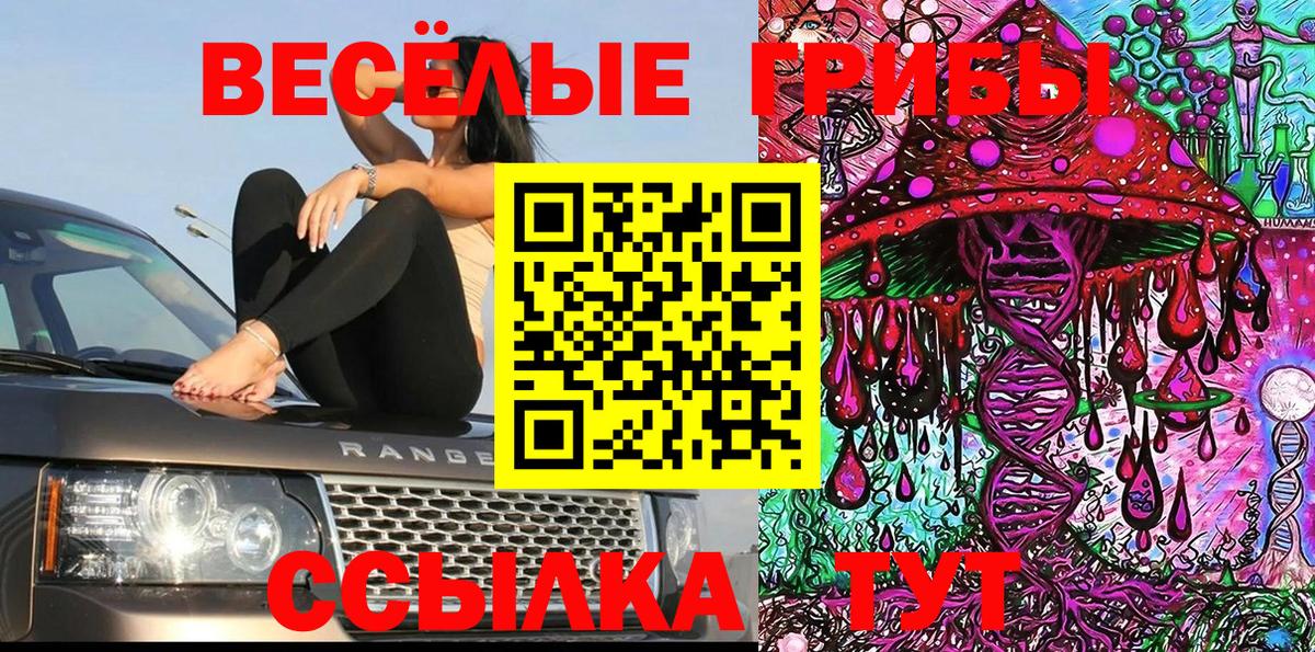 Псилоцибиновые грибы ЛСД  наркота  Краснотурьинск  Вход с VPN 